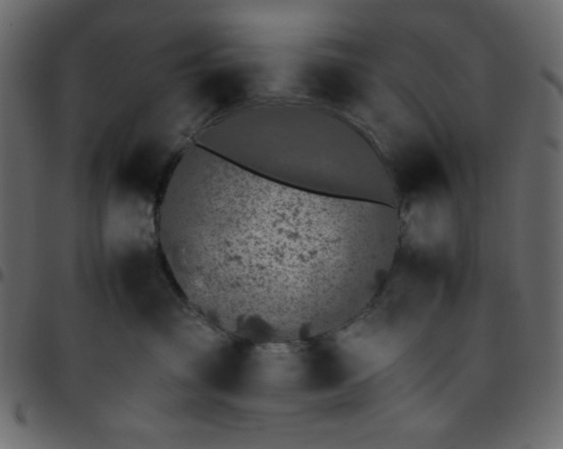 X0000095670381200801221209