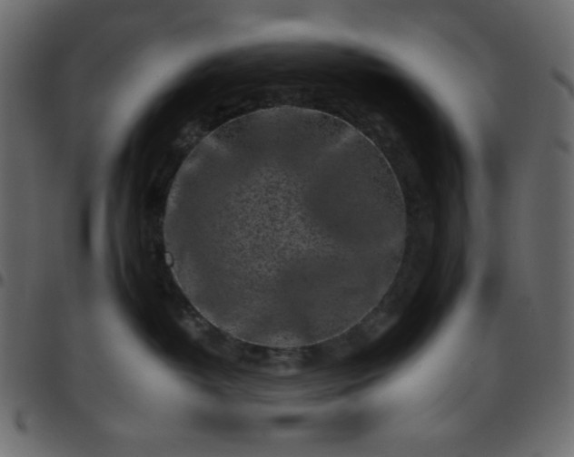 X0000095670382200801221209