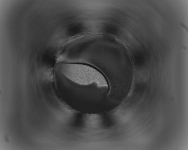 X0000095670383200801221209