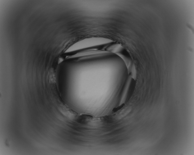 X0000095670384200801221209