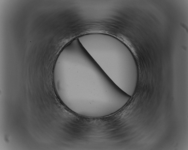 X0000095670385200801221209