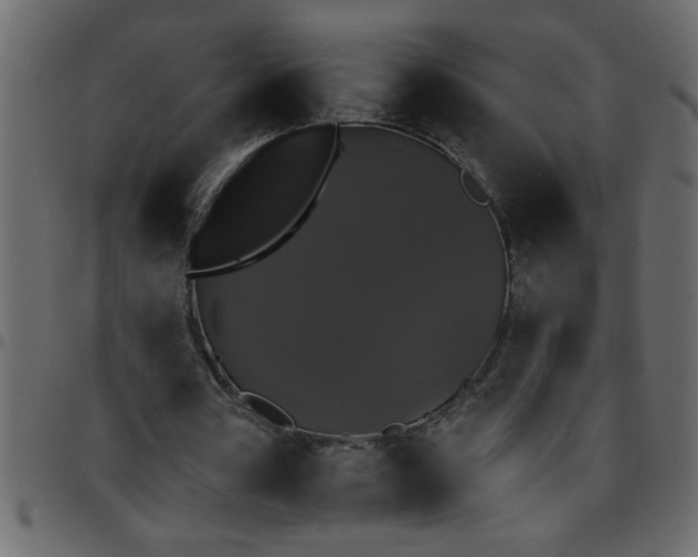 X0000095670386200801221209