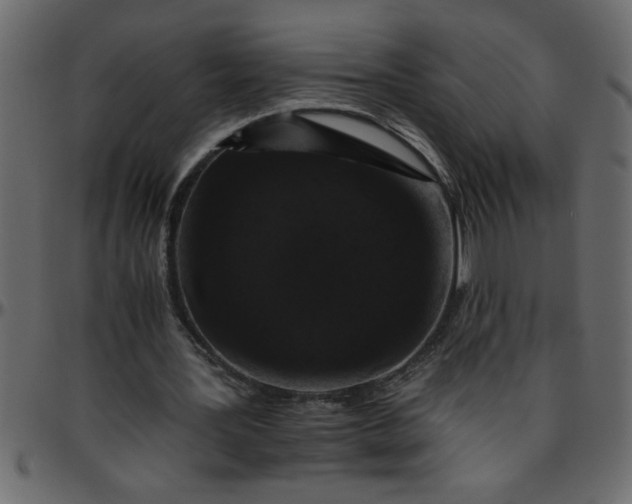 X0000095670387200801221209