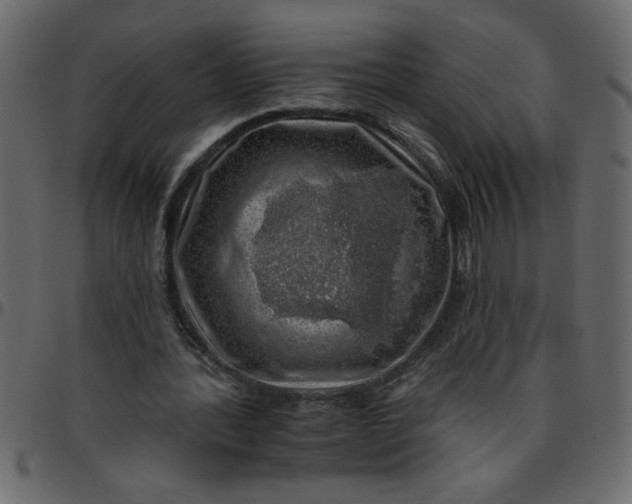 X0000095670388200801221209