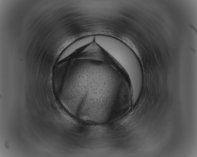 X0000095670389200801221209