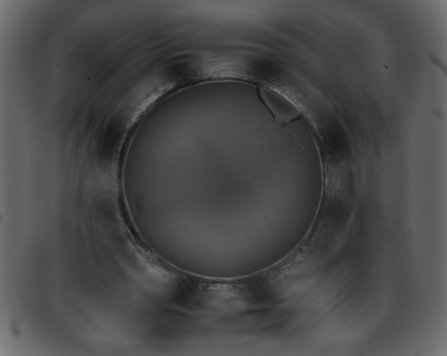 X0000095670390200801221209