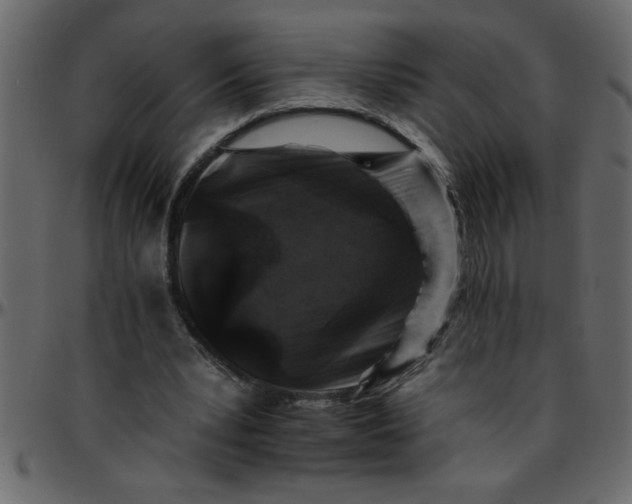 X0000095670391200801221209