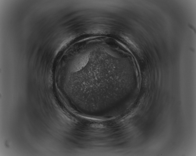 X0000095670392200801221209