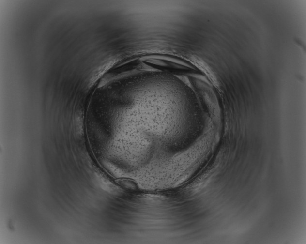 X0000095670393200801221208