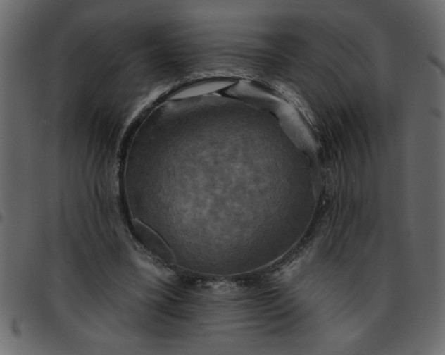 X0000095670395200801221208