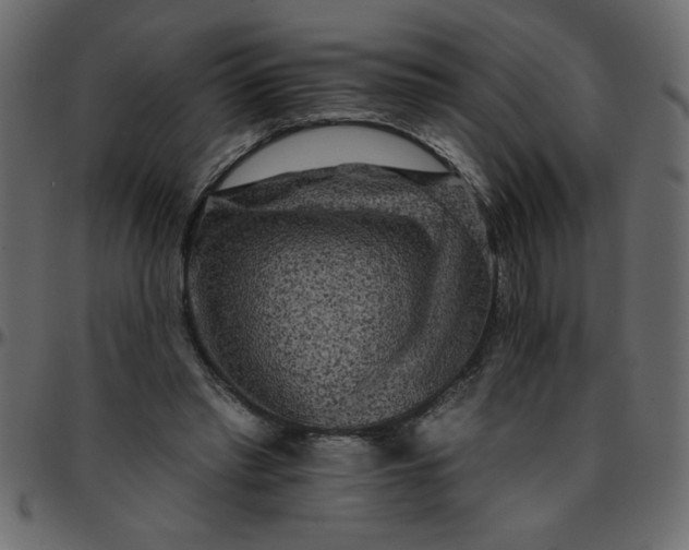 X0000095670397200801221208