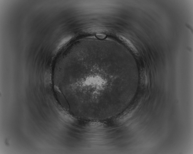 X0000095670399200801221208