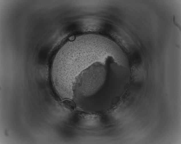 X0000095670400200801221208