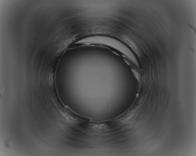 X0000095670401200801221208