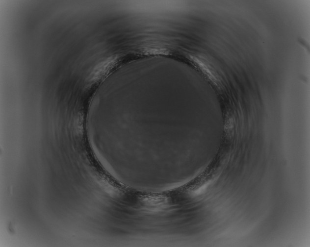 X0000095670402200801221208