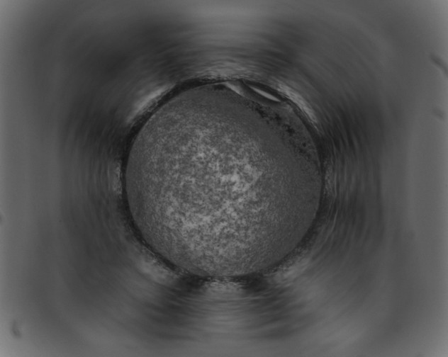 X0000095670403200801221208