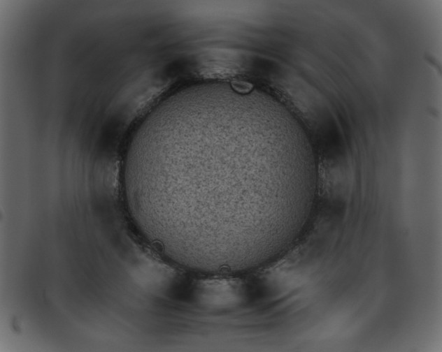 X0000095670404200801221208