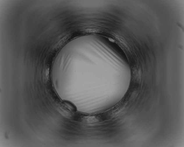 X0000095670406200801221208