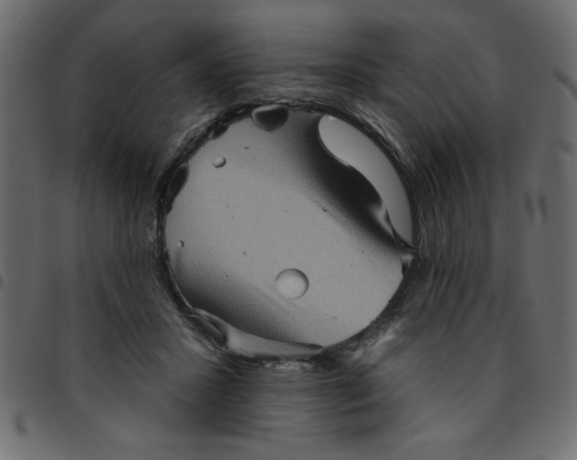 X0000095670407200801221208