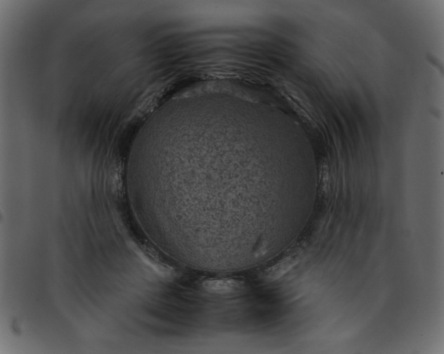 X0000095670408200801221208