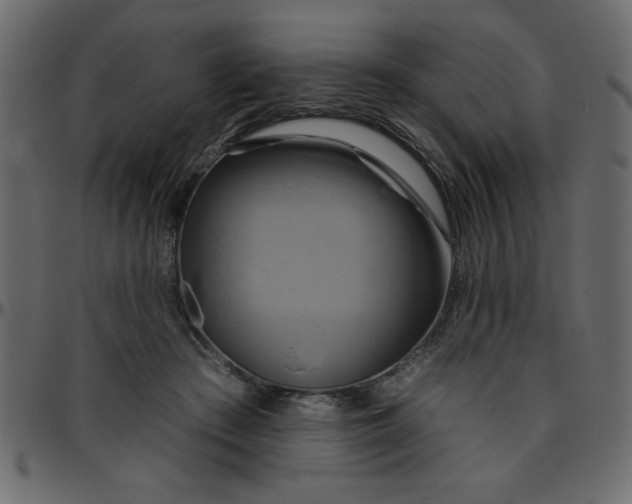 X0000095670409200801221208