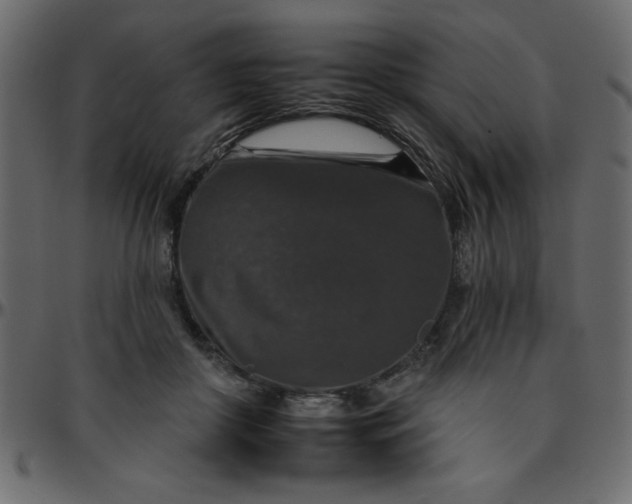 X0000095670410200801221208