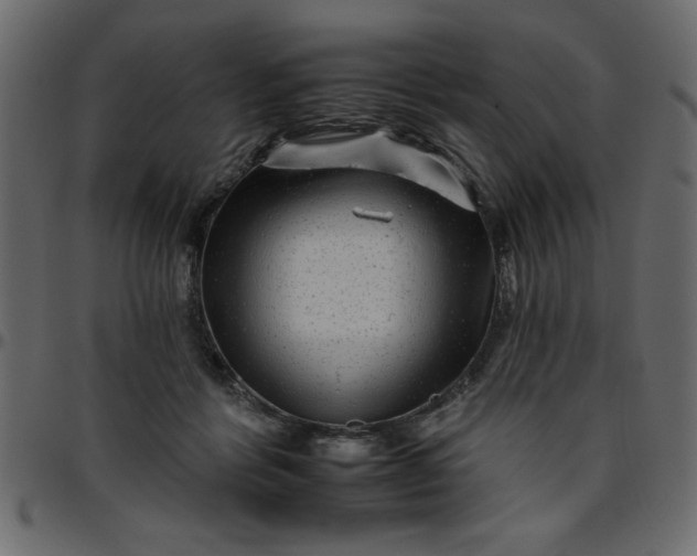 X0000095670412200801221208