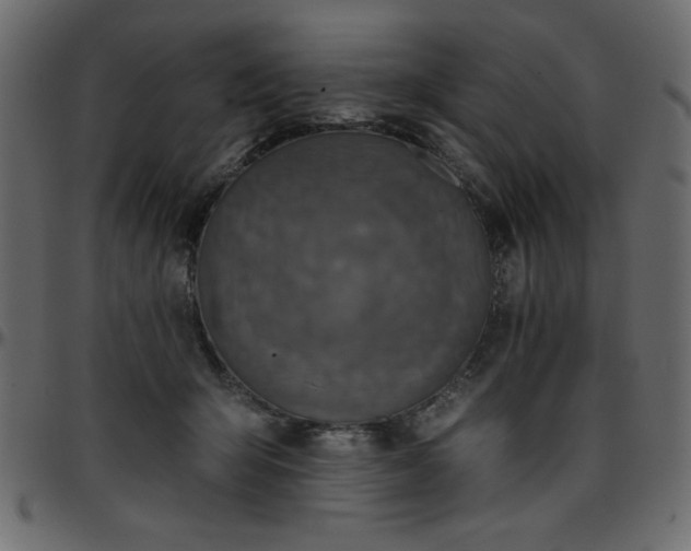 X0000095670415200801221208