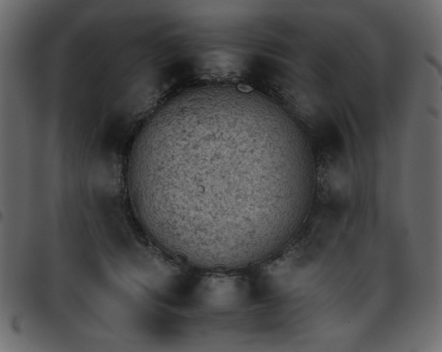 X0000095670416200801221208