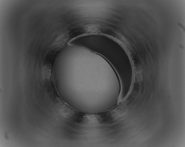 X0000095670417200801221208