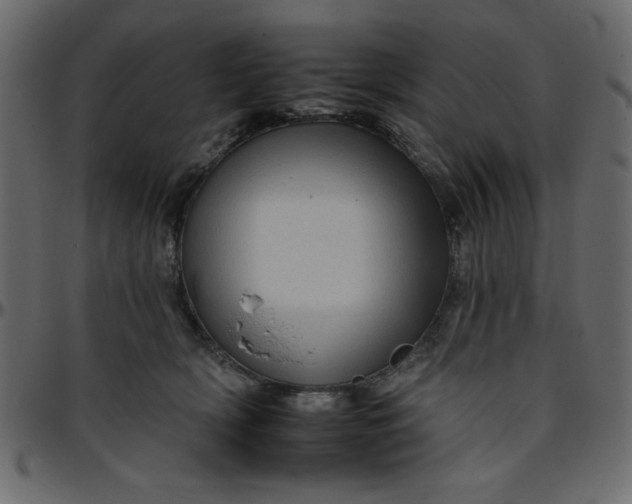 X0000095670418200801221208