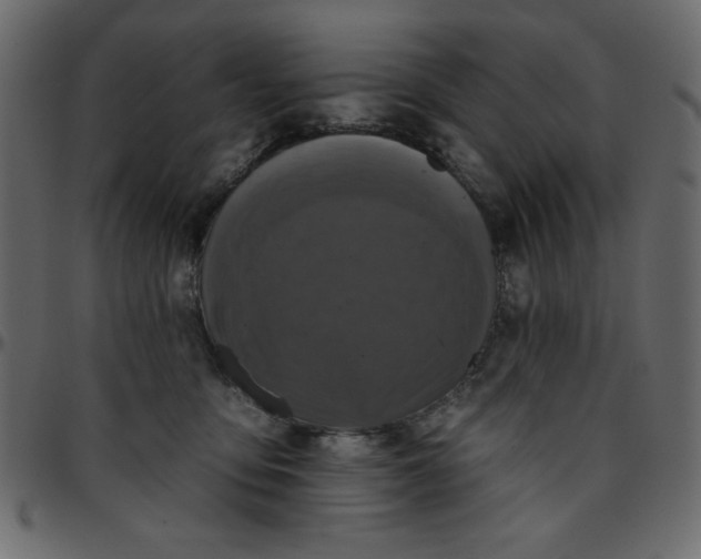 X0000095670419200801221208