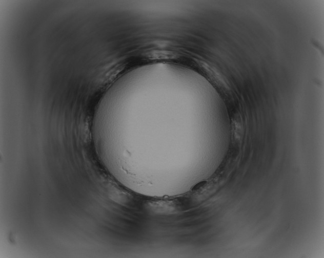 X0000095670422200801221208