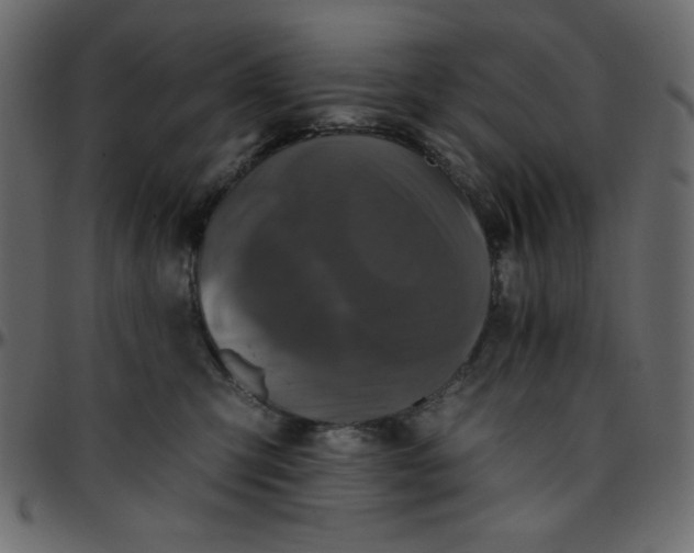 X0000095670423200801221208