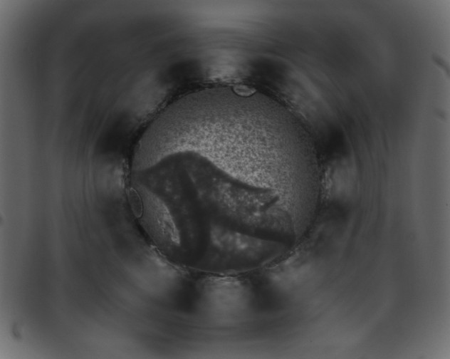 X0000095670424200801221208