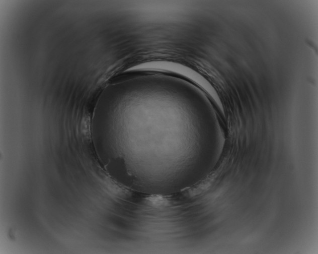 X0000095670425200801221208