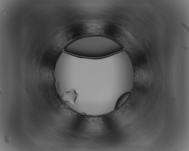 X0000095670426200801221208