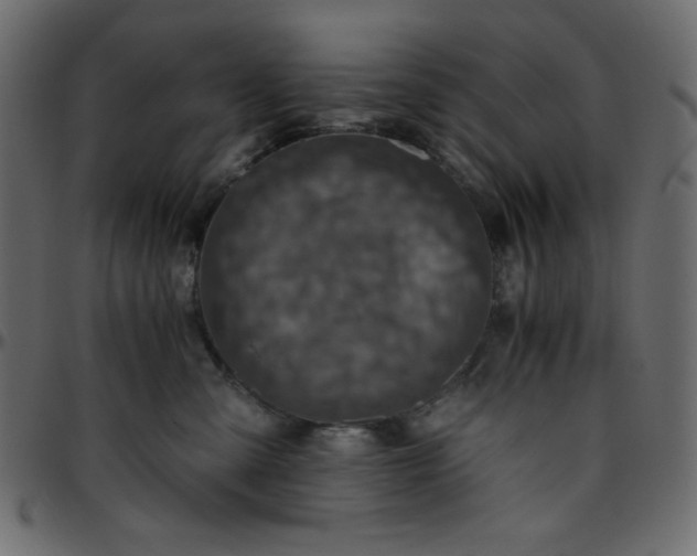 X0000095670427200801221208