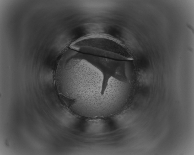 X0000095670428200801221208