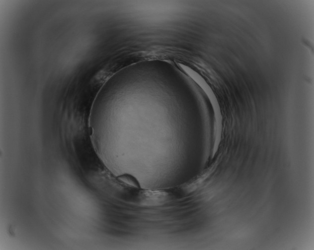 X0000095670429200801221208