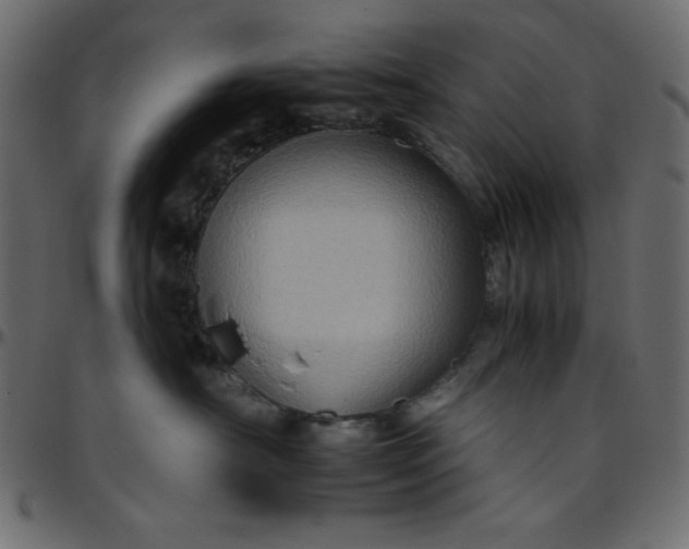 X0000095670430200801221208