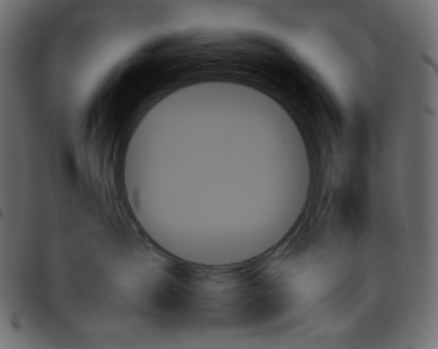 X0000095670431200801221208