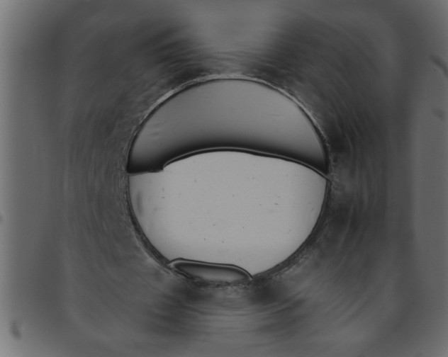 X0000095670433200801221207