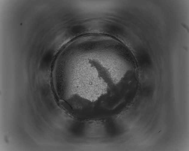 X0000095670434200801221207