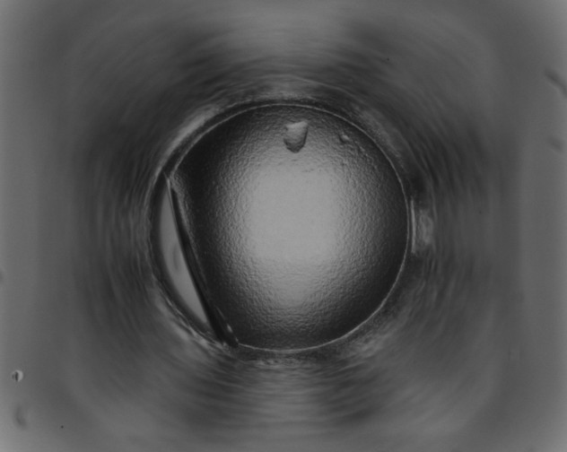 X0000095670435200801221207