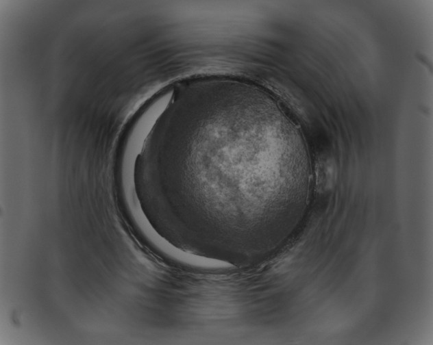 X0000095670436200801221207