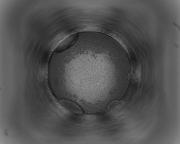 X0000095670437200801221207