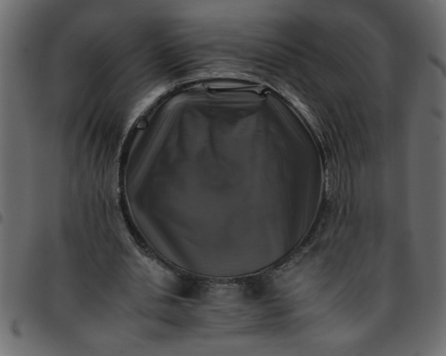 X0000095670438200801221207