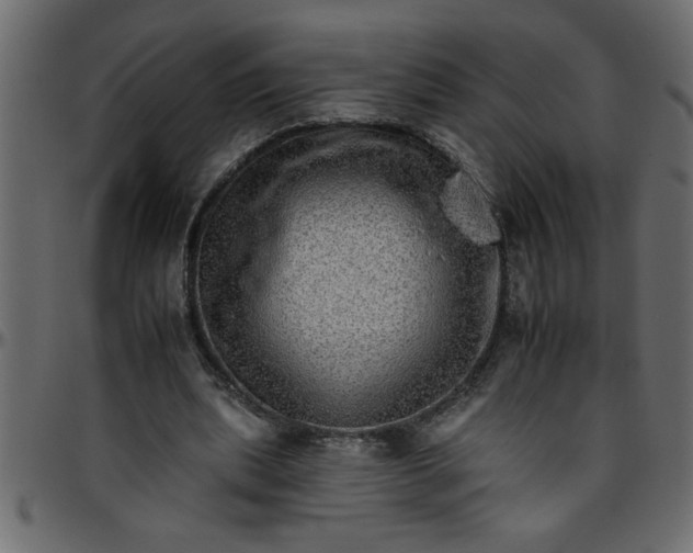 X0000095670439200801221207