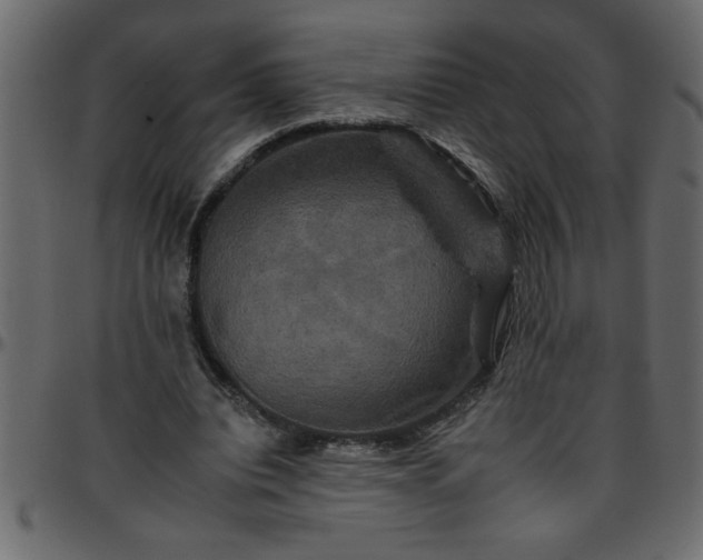 X0000095670440200801221207